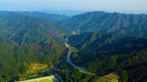 中鐵一局五公司兩項(xiàng)工程榮獲全國(guó)綠色建造水...